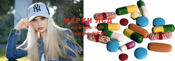 индика Медногорск