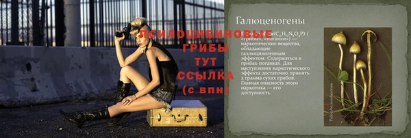 индика Медногорск