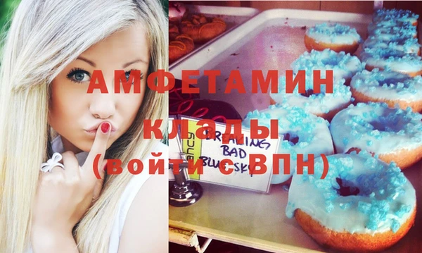 индика Медногорск