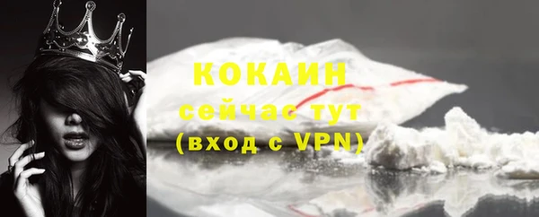 индика Медногорск