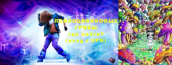 индика Медногорск