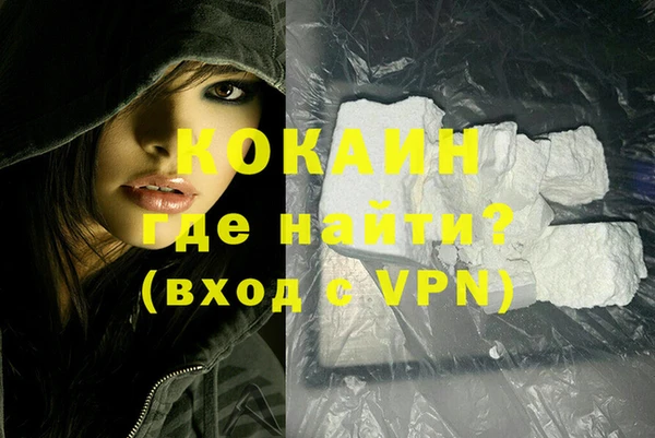 индика Медногорск