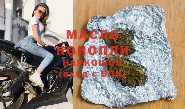 индика Медногорск