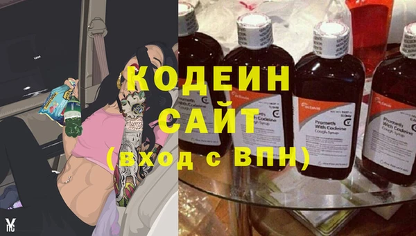 индика Медногорск