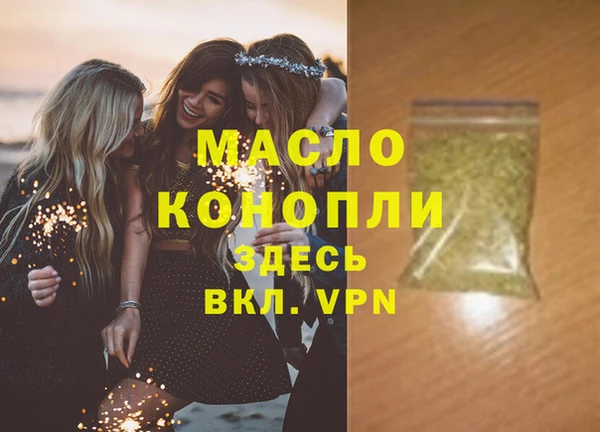 индика Медногорск