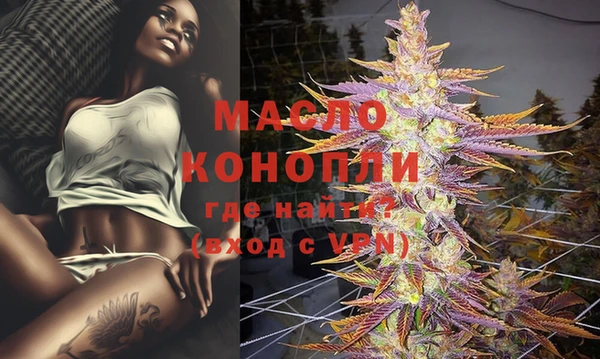 индика Медногорск