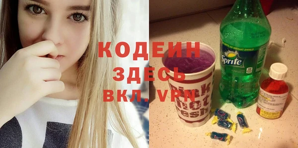 индика Медногорск