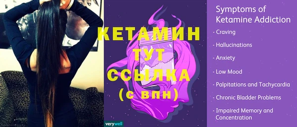 индика Медногорск