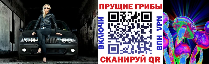 Псилоцибиновые грибы прущие грибы  ОМГ ОМГ зеркало  Фокино  закладки 